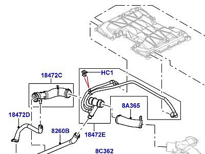 302ABII ТРУБОПРОВОДЫ И ШЛАНГИ СИСТЕМЫ ОХЛАЖДЕНИЯ, 5.0L OHC SGDI SC V8 БЕНЗИН  Range Rover (L322)